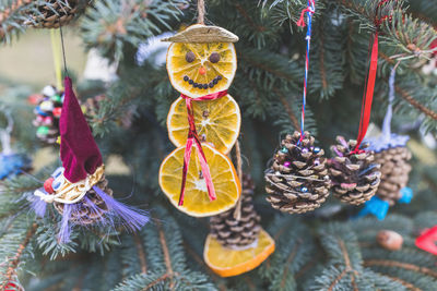 Natural decoration made of dried orange slices, spice and pine cones on a christmas tree. diy