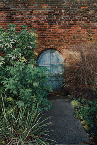 Plants against brick wall