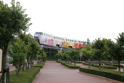 Footpath amidst trees against clear sky