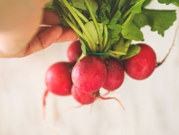 Close-up of hand holding strawberries