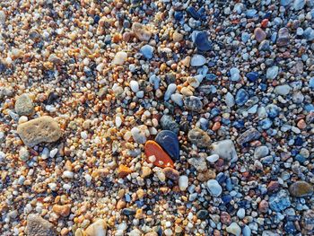 High angle view of pebbles on beach