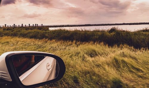 Reflection of side-view mirror on field