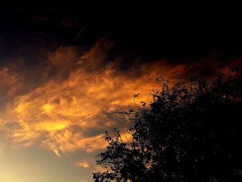 Low angle view of silhouette trees against sky during sunset