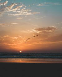 Birds flying over sea during sunset