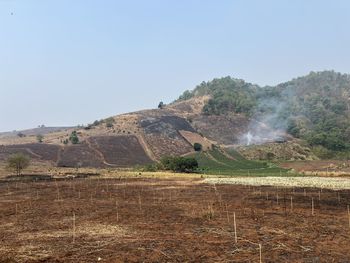 soil