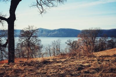 Scenic view of lake against sky