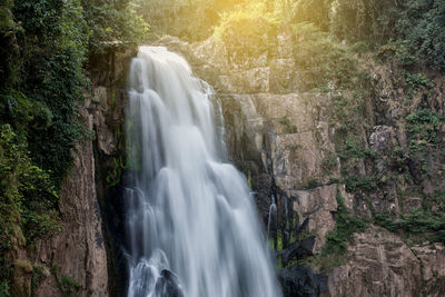 View of waterfall in forest