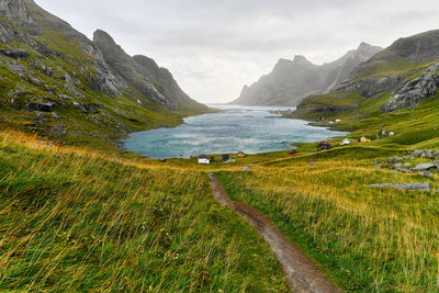 Scenic view of hiking trail leading to remote village vinstad at the coast in lofoten norway