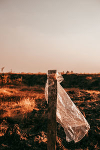 Close-up of log on field against sky during sunset