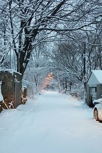 Snow covered landscape and bare trees