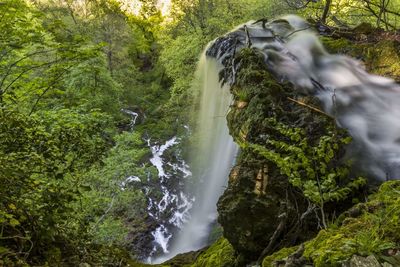 Scenic view of waterfall