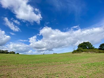 Scenic view of field against sky