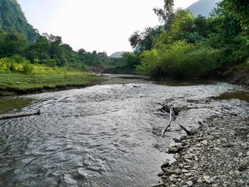 Scenic view of river stream in forest against sky