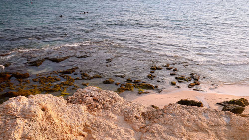 High angle view of rocks on beach