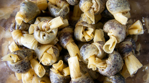 High angle view of mushrooms