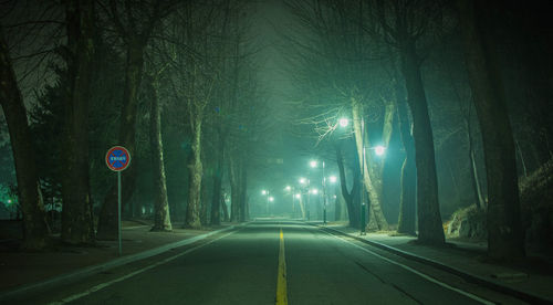 Road amidst trees at night