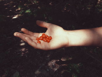 Close-up of hand holding strawberry