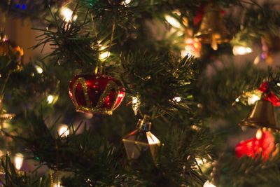 Illuminated christmas tree at night