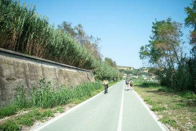 Rear view of man walking on road