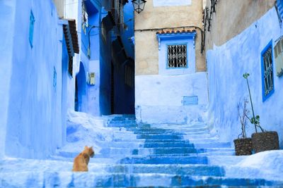 Steps in alley