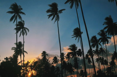 Low angle view of silhouette palm trees against sky