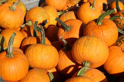 High angle view of pumpkins for sale at market stall