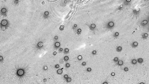 Full frame shot of wet sand