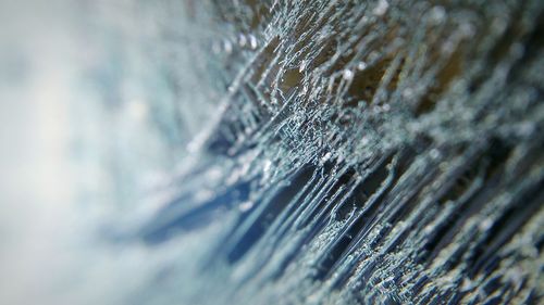 Full frame shot of spider web