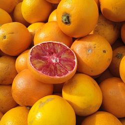 Ripe and juicy blood orange fruits, a citrus fruit rich in vitamin c