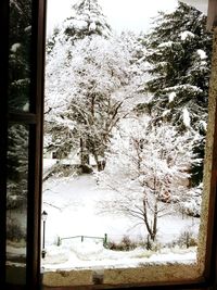 Bare trees on snow covered landscape