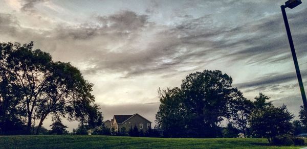 Trees and houses on field against sky