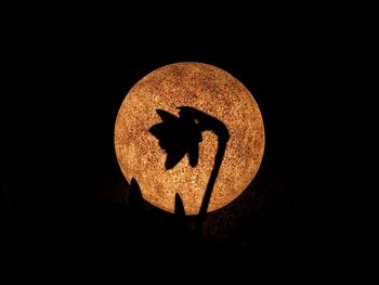 Close-up of lamp over black background