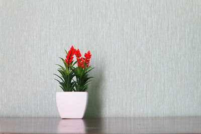 Beauty flower in white pot on the table