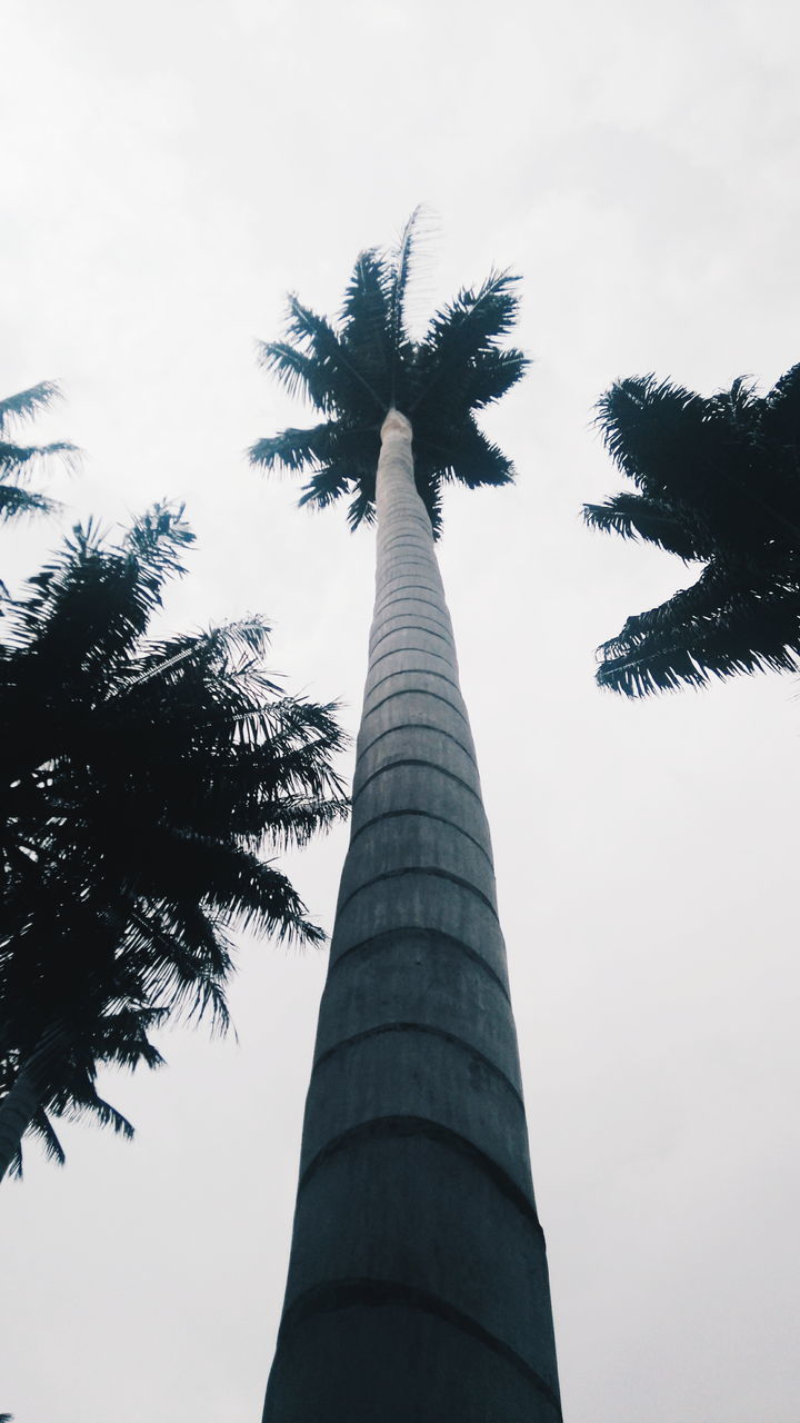 LOW ANGLE VIEW OF SKYSCRAPER