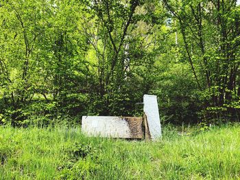 Built structure on field in forest