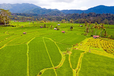 High angle view of agricultural field against sky