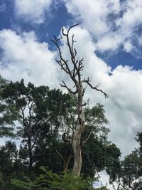 Low angle view of bare tree against cloudy sky