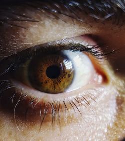 Close-up portrait of mid adult man eye