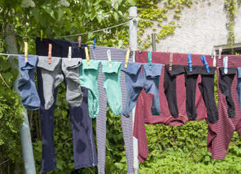 Clothes drying on clothesline against plants