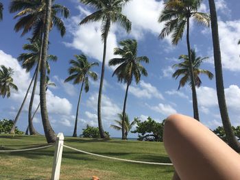 Cropped image of woman against palm trees