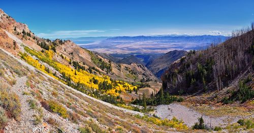 scenics - nature