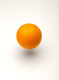 Close-up of orange against white background