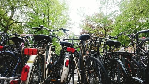 Parked cars on road