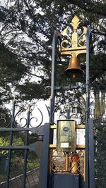 Metal gate against trees