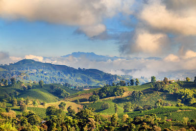 Scenic view of landscape against sky