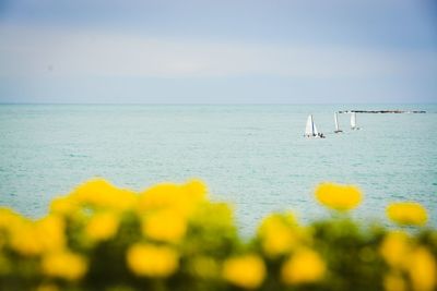 Scenic view of sea against sky