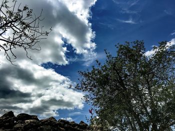 Low angle view of trees against cloudy sky