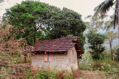Old house with trees in background