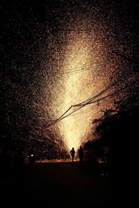 Low angle view of illuminated ferris wheel at night