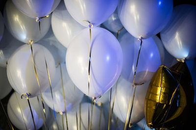 Low angle view of balloons hanging on ceiling